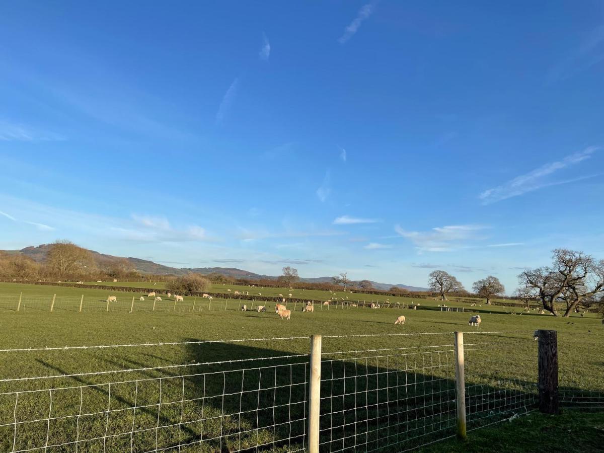 Abbey Farm Luxury Glamping Hotel Rhuddlan ภายนอก รูปภาพ